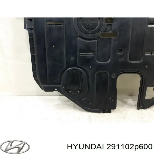 Захист двигуна 291102P600 Hyundai/Kia