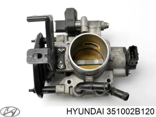 Дросільна заслінка 351002B120 Hyundai/Kia