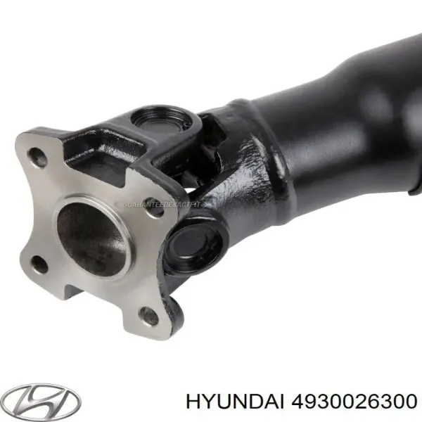  4930026300 Hyundai/Kia
