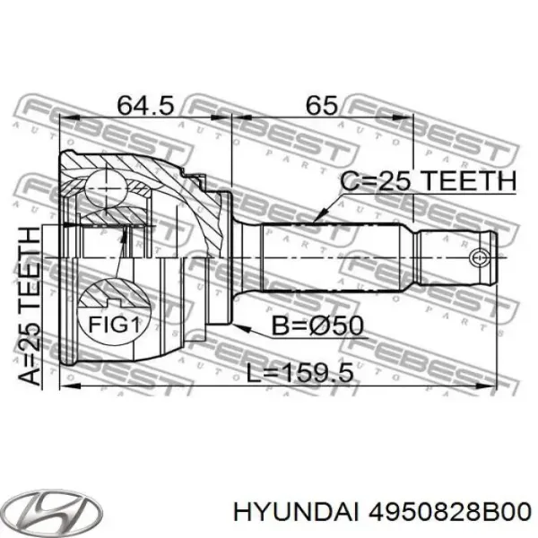 ШРУС зовнішній передній 4950828B00 Hyundai/Kia