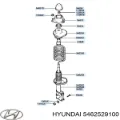 Пильник амортизатора переднього HYUNDAI 5462529100