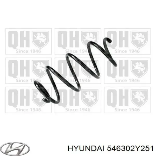 Пружина передня 546302Y251 Hyundai/Kia