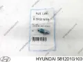 Штуцер прокачування супорту гальмівного, переднього HYUNDAI 581201G100