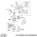 Пильник направляючої супортугальмівного, заднього MARKET (OEM) 581643M000
