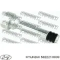 Направляюча супорту заднього HYUNDAI 582221H000