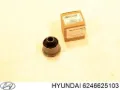 Сайлентблок передній балки/підрамника HYUNDAI 6246625103