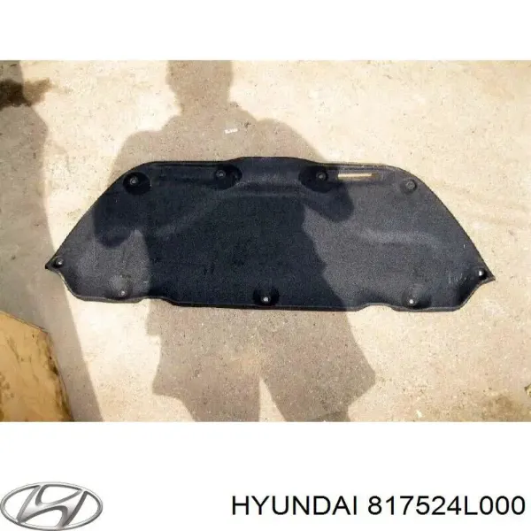  817524L000 Hyundai/Kia