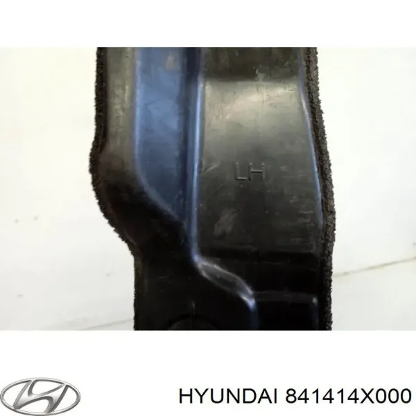 Ущільнювач крила 841414X000 Hyundai/Kia