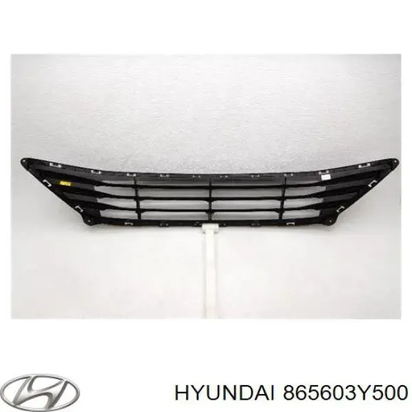 Решітка переднього бампера, центральна 865603Y500 Hyundai/Kia