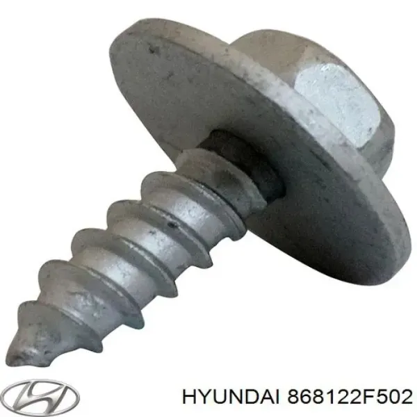 Підкрилок передній правий 868122F502 Hyundai/Kia