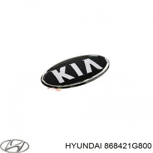 Бризковики задній, правий 868421G800 Hyundai/Kia
