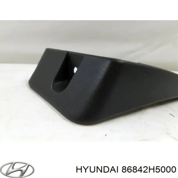 Бризковики задній, правий 86842H5000 Hyundai/Kia