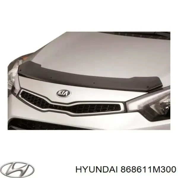  868611M300 Hyundai/Kia