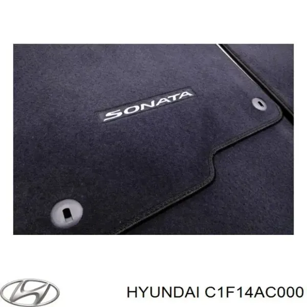  C1F14AC000 Hyundai/Kia