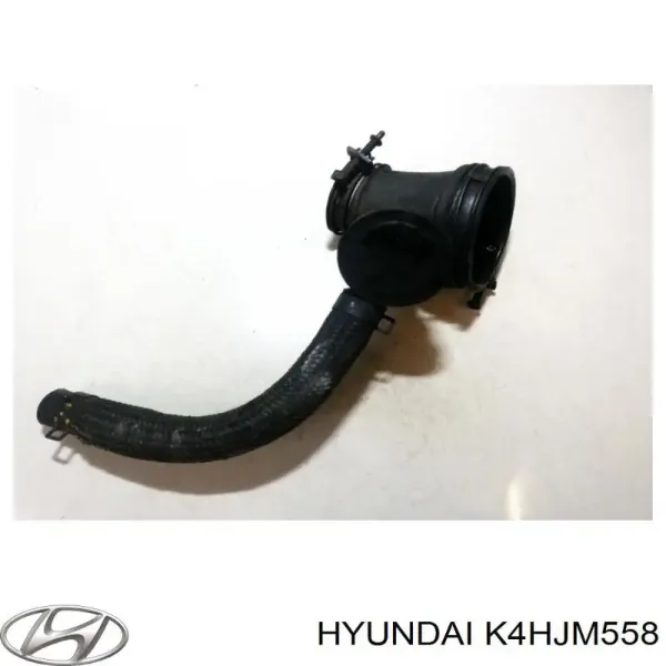  K4HJM558 Hyundai/Kia