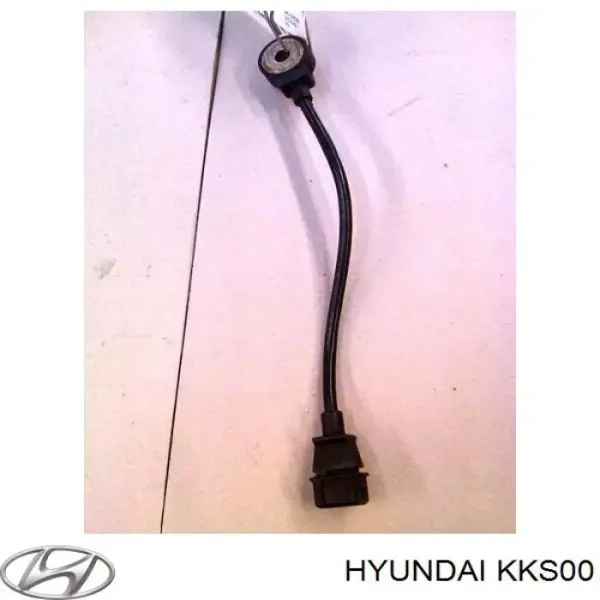  KKS00 Hyundai/Kia