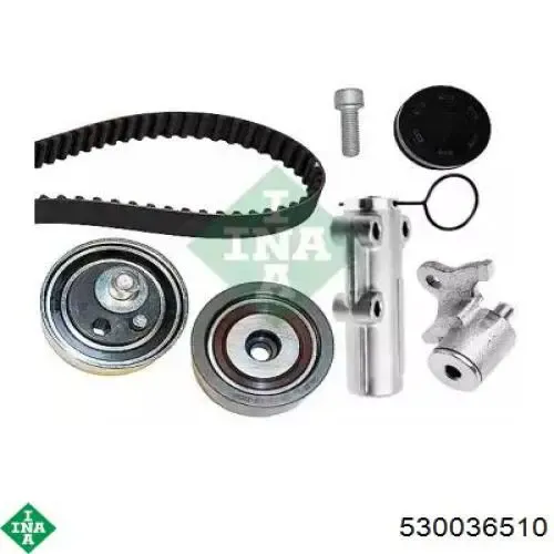 Комплект ГРМ 530036510 INA