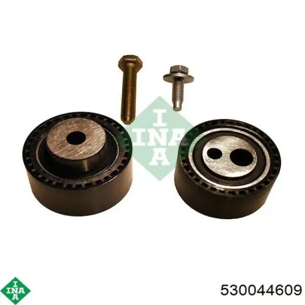 Комплект ГРМ 530044609 INA