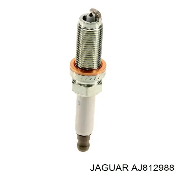 Свічки запалювання AJ812988 Jaguar