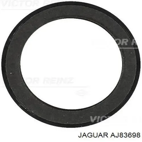 Сальник коленвалу AJ83698 Jaguar