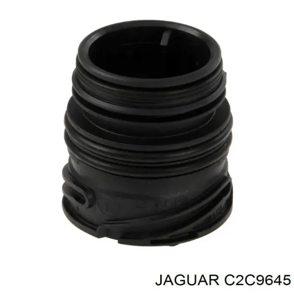  C2C39599 Jaguar