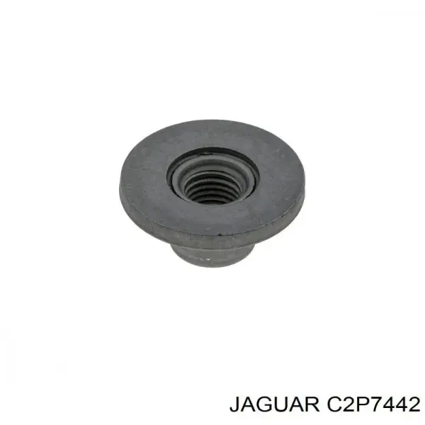  C2P7442 Jaguar