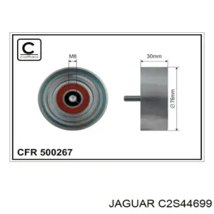 C2S44699 JAGUAR