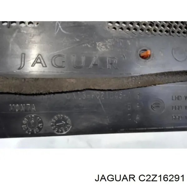  C2Z16291 Jaguar