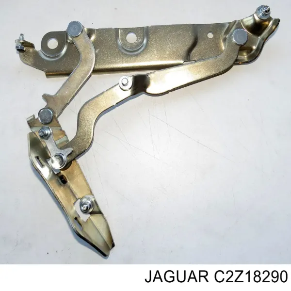  C2Z18290 Jaguar