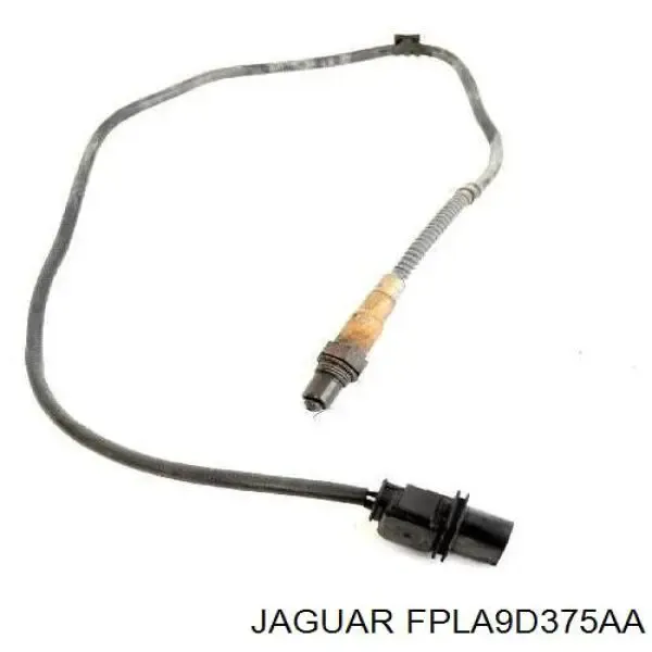  FPLA9D375AA Jaguar