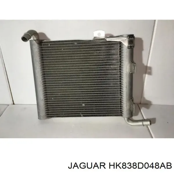  HK838D048AB Jaguar