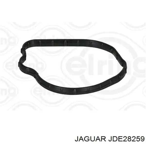  JDE28259 Jaguar