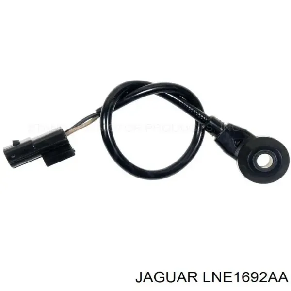  LNE1692AA Jaguar