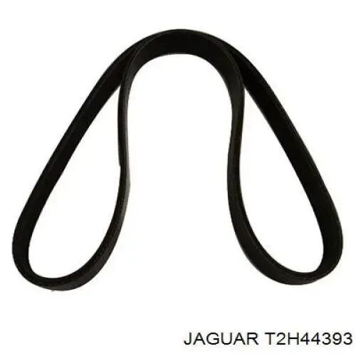  T2H57525 Jaguar