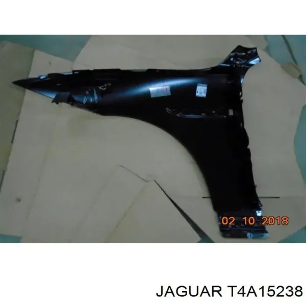  T4A15238 Jaguar