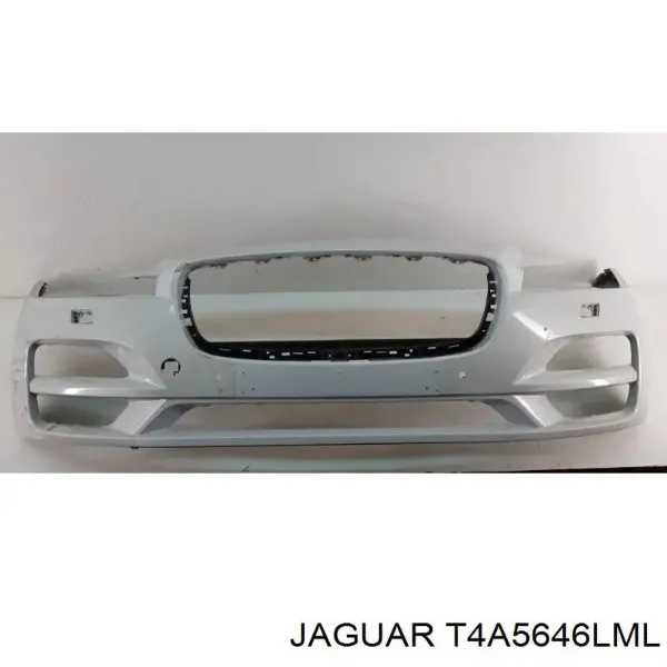  T4A5646LML Jaguar