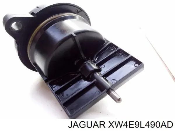  XW4E9L490AD Jaguar