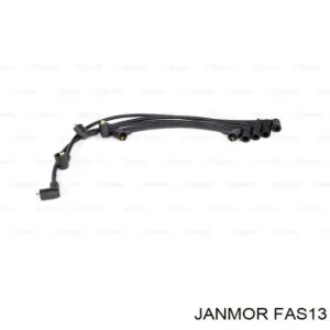 FAS13 JANMOR