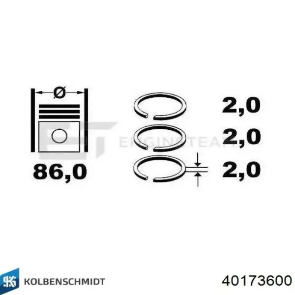 Поршень в комплекті на 1 циліндр, STD 7121670000 NE/NPR