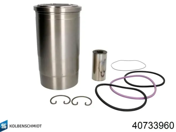  213PI00102000 Mahle Original
