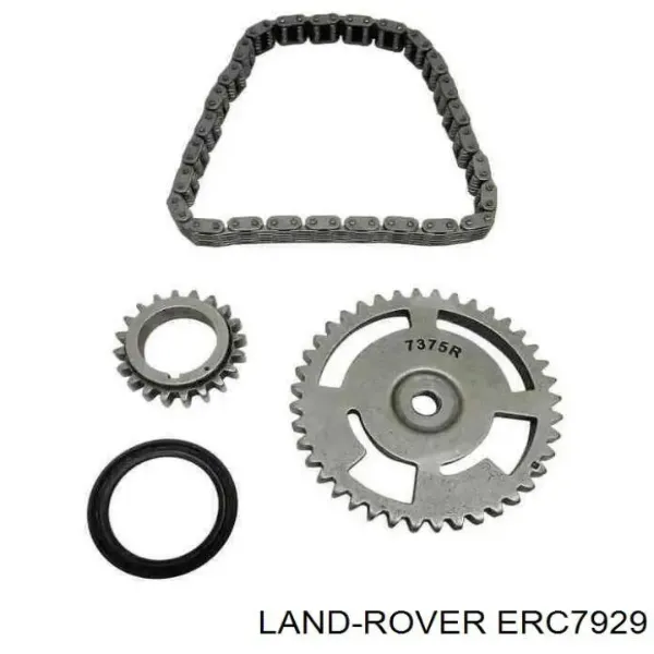 Ланцюг ГРМ ERC7929 Bearmach