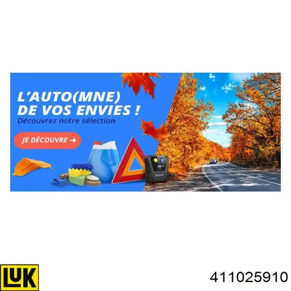 Болт кріплення маховика 411025910 LUK