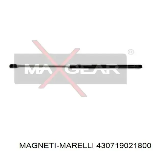 Амортизатор багажника 430719021800 Magneti Marelli