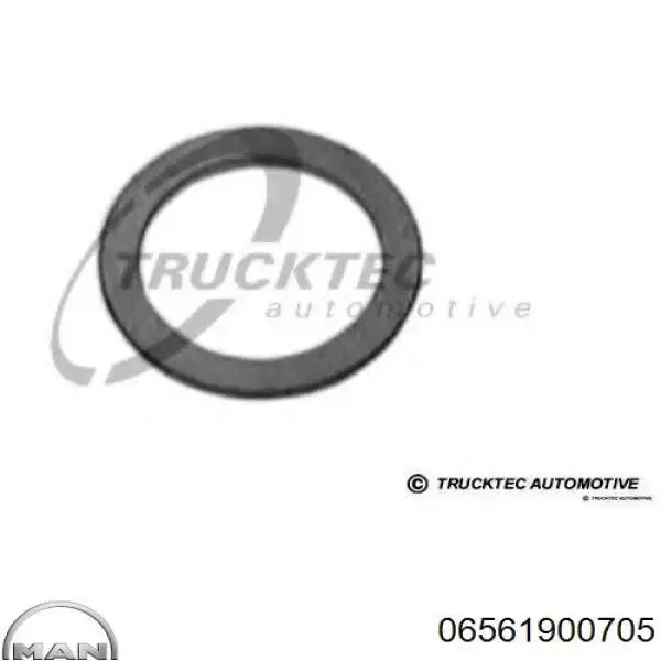 Кільце приймальної труби глушника 11016282 Opel