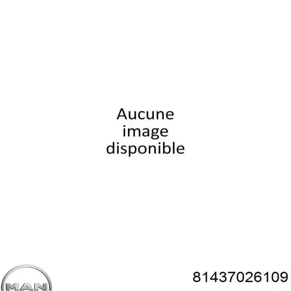 Амортизатор задній 81437026109 MAN