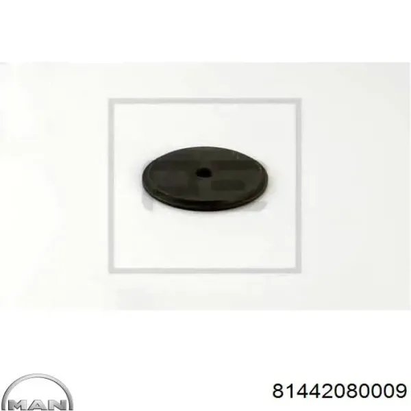 Ремкомплект шкворня поворотного кулака 81442080009 MAN