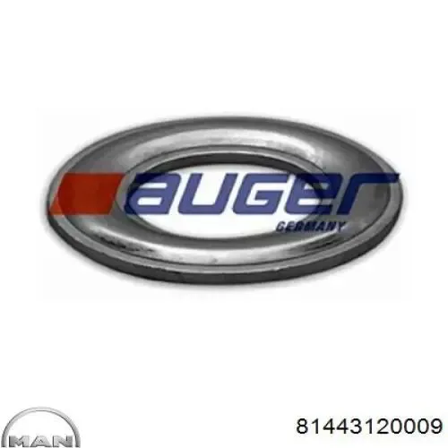 Заглушка маточини 81443120009 MAN