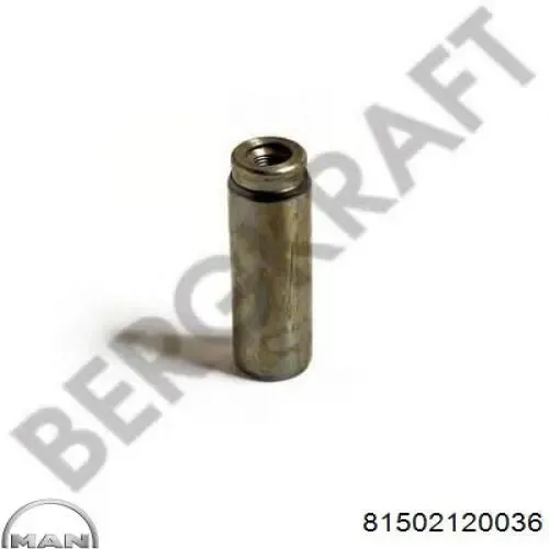 Палець задніх барабанних гальмівних колодок 81502120036 MAN