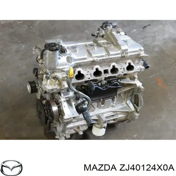 Шестерня розподільного валу TQ56090 Tqparts