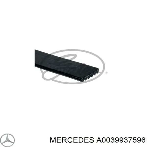Ремінь приводний, агрегатів, комплект A0039937596 Mercedes